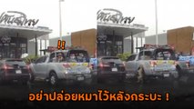 อุทาหรณ์ ! ปล่อยหมาไว้หลังกระบะ แค่เสี้ยวนาทีที่ถอยรถ เป็นวินาทีบีบหัวใจ