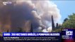 Incendie dans le Gard: le feu est fixé, 350 hectares ont été brûlés