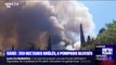 Incendie dans le Gard: le feu est fixé, 350 hectares ont été brûlés