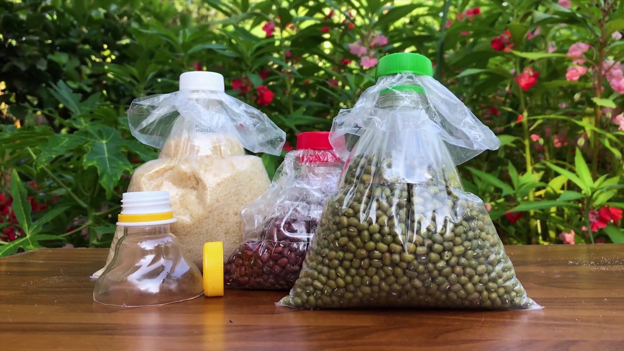 Creative Ideas With Plastic Bottles | 4 Creative Ideas To Reuse A Top Of Plastic Bottles