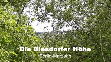 Die Biesdorfer Höhe