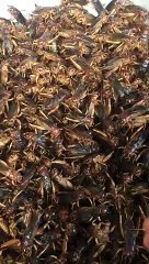 Yummy seafood do this weekend .Why so Delicious.