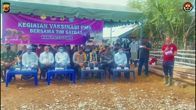 Kapolres Pidie bersama Tim Satgas PMK Kabupaten Pidie Lakukan Penyuntikan Vaksinasi pada HewanTernak