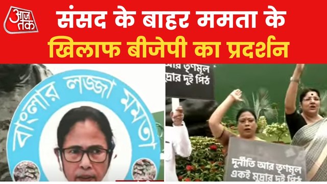 BJP stages protest against TMC outside parliament