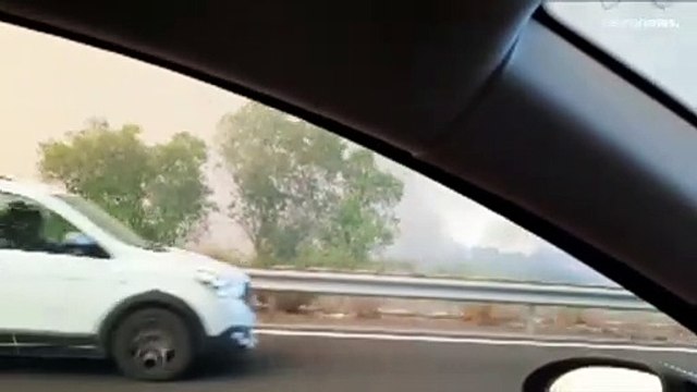 فيديو | حريق في جنوب فرنسا يدمر أكثر من 200 هكتار من غابات الصنوبر