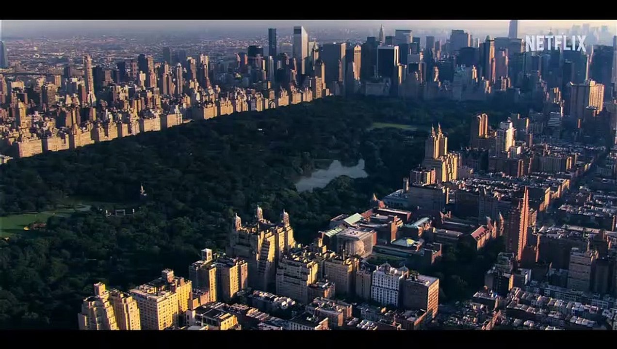 Partner Track Trailer DF