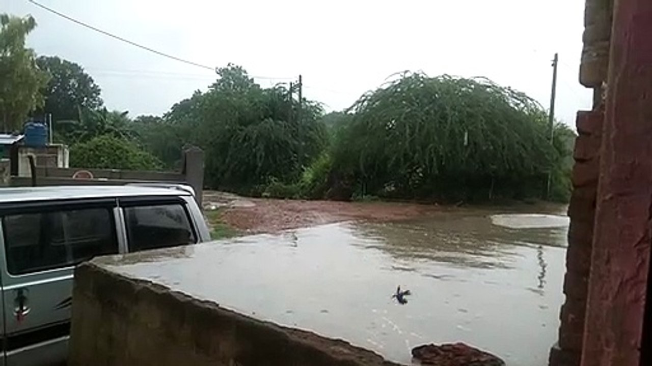 सुबह से रिमझिम बारिश का दौर, फुहारों ने भिगोया...
