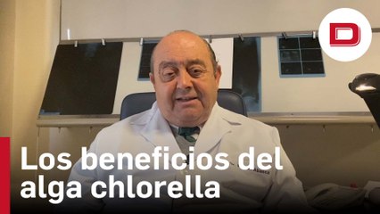 Los beneficios del alga chlorella que debes conocer, con el doctor Abascal