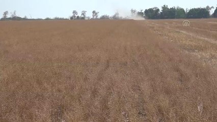 Ukraynalı çiftçiler limanlardan tahıl gemilerinin çıkışını bekliyor