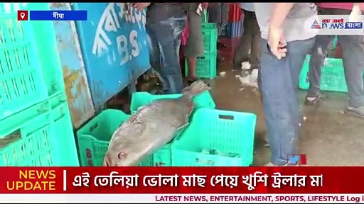 তেলিয়া ভোলায় খুলল কপাল, লক্ষ লক্ষ টাকায় বিক্রি হল ৬টি মাছ