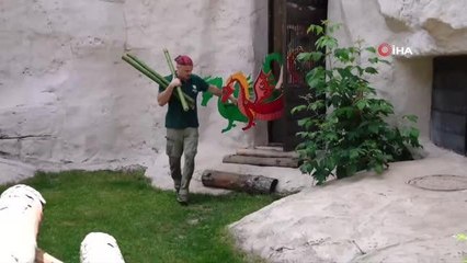 Pandalara sürpriz doğum günü partisi