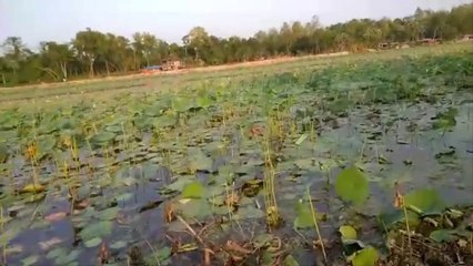 Alta Dighi Naogaon Bangladesh|আলতাদিঘী নওগাঁ | উইয়ের ঢিবির রাজ্য একদিন |  নওগাঁর শালবন যেখা‌নে পাওয়া গেল বাঘ|