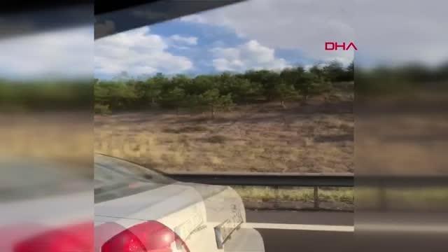 Düğün konvoyunda ambulansa engel olan 10 sürücüye 11 bin TL ceza