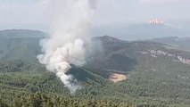 Burdur haberleri | Burdur'un Bucak İlçesinde Çıkan Orman Yangını Kontrol Altına Alındı