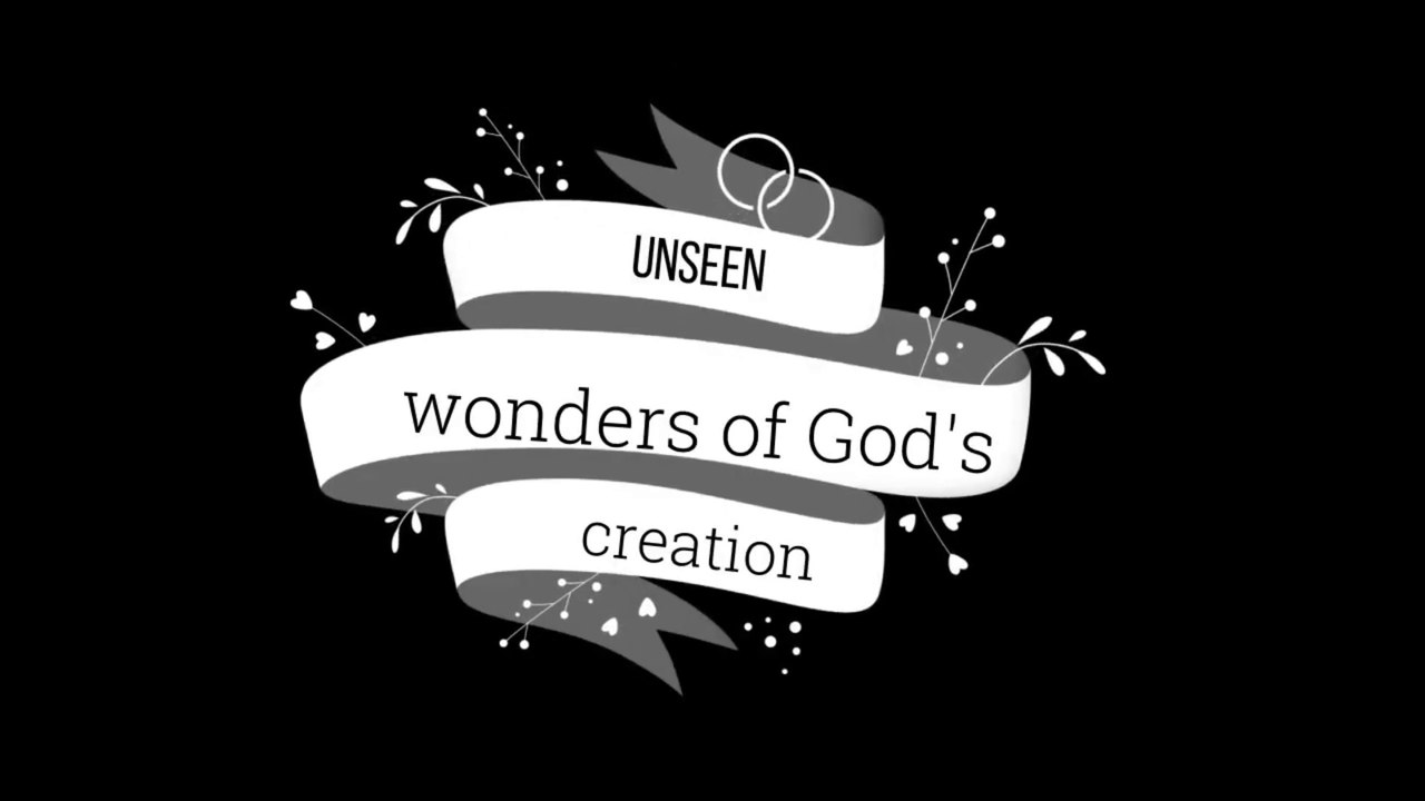 Unseen Gods Creation's