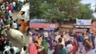 Sikar Teej : तीज की सवारी निकाल रहे लोगों को रौंदते हुए निकला सांड, देखें सीकर का वायरल VIDEO