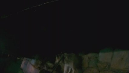 EMİRGAN'DA İSKELE ALTINDA MAHSUR KALAN KÖPEK KURTARILDI