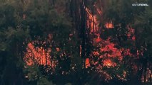 فيديو | 53 حريقاً مشتعلاً في الولايات المتحدة وسط موجة من الحرّ الخانق