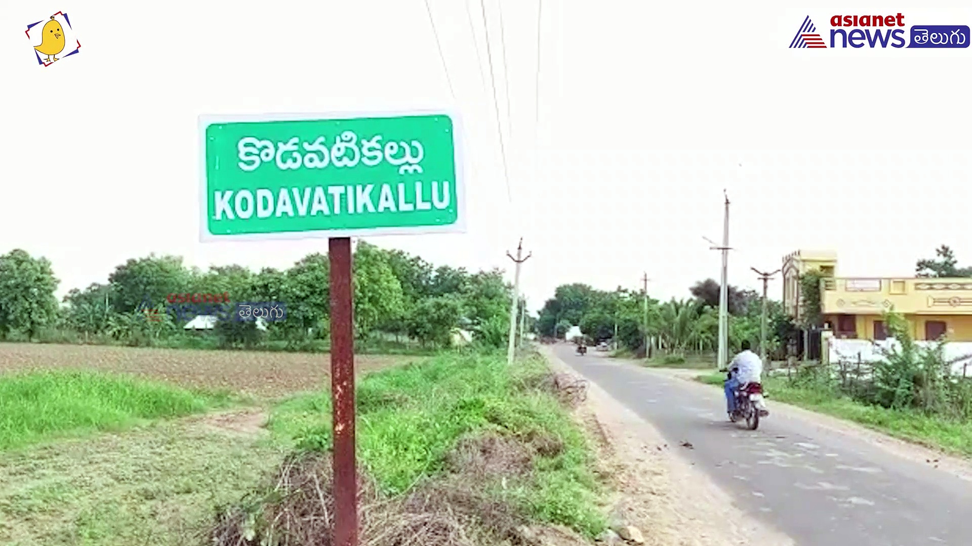 లోన్ రికవరి ఏజెంట్ల వేధింపులకు యువతి బలి... బాధితులకు అండగా కేశినేని చిన్ని