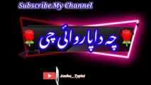 Cha da para | pashto poetry | pashto black screen status | ansha__typist