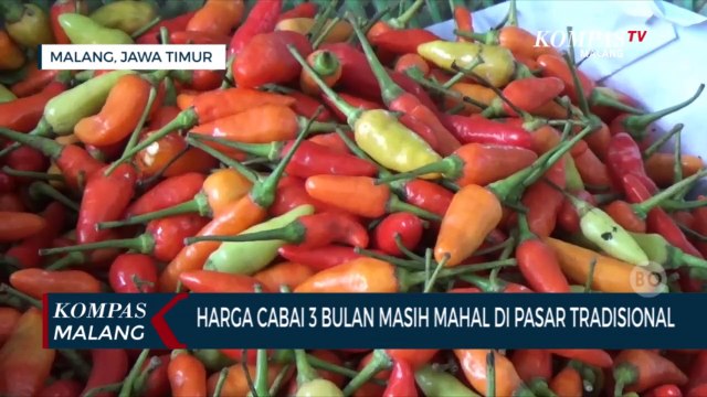 Awet Mahal, Sudah 3 Bulan Harga Cabai di Pasar Tradisional Tak Kunjung Turun