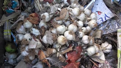 Türkiye’yi bu zihniyet geriye götürüyor! “Beyaz altın”ın diyarında dehşete düşüren manzara