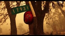 Incendie McKinney : le plus vaste feu de forêt depuis le début de l'année frappe la Californie