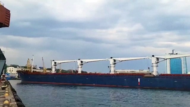 Ucrania reanuda sus exportaciones de grano por primera vez desde la invasión rusa