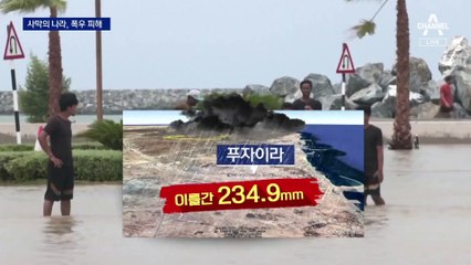 아랍에미리트, 사막에 물난리…中, 하다하다 ‘상어 먹방’