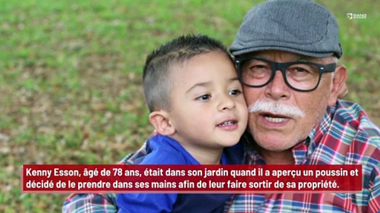 Un grand-père mutilé par une mouette !