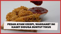 Pesan Ayam Krispi, Warganet Ini Kaget Temukan Penampakan Diduga Buntut Tikus