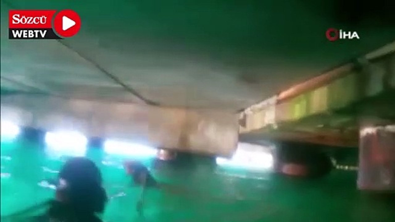 Emirgan’da köpek kurtarma seferberliği