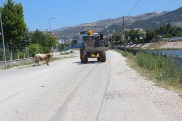 MEZBAHADAN KAÇAN BOĞA PEŞİNDEKİLERE ZOR ANLAR YAŞATTI
