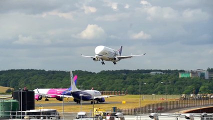 Airbus Beluga visits Luton Airport
