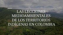 Lecciones medioambientales de los territorios indígenas en Colombia
