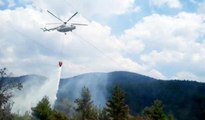 Son dakika haberi | Tavşanlı'da orman yangını helikopter desteği ile kısa sürede söndürüldü