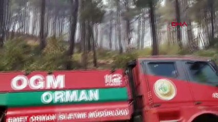 Kütahya’da orman yangını