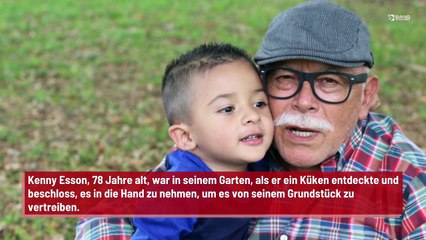 Mann von Möwe zerfleischt