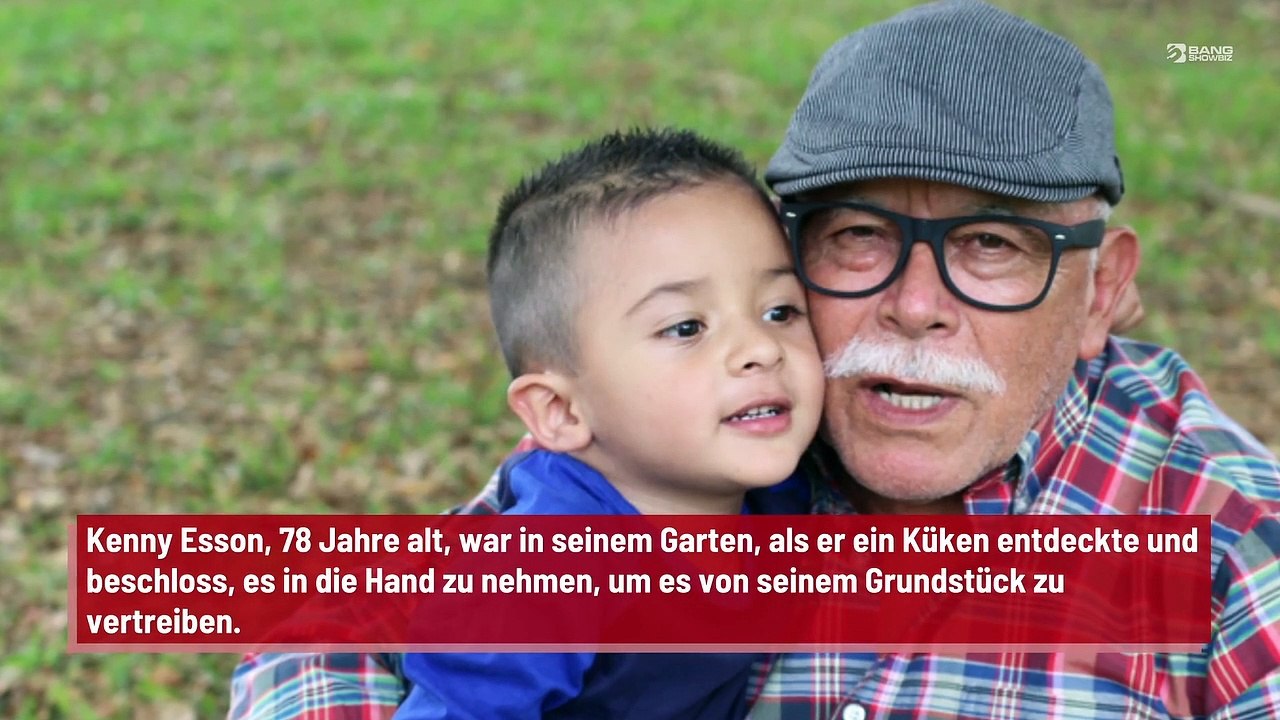 Mann von Möwe zerfleischt