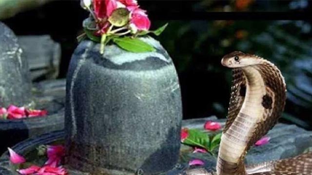 Nag Panchami 2022: Nag Panchami Wishes,Messages,Quotes,Wallpaper | Boldsky *Religious