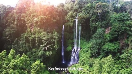 THY iklim değişikliğiyle mücadele için "Co2mission" programını hayata geçirdi