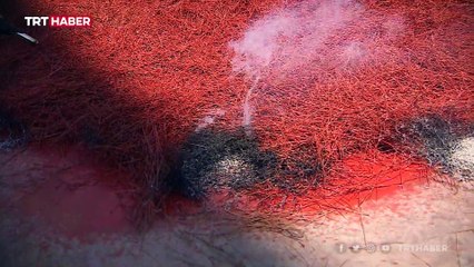 Yangınla mücadelede yeni dönem: 'Kırmızı sıvı'