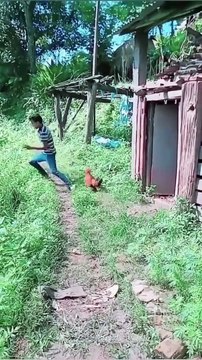 très drôle funny video #india #yt #youtubeshort #trending #turkey #us #canada #saudia #iran #pk #natural #bohpal #birds #matting process #birds love you #short #funny #yt #youtubeshort #trending #turkey #us #canada #saudia #iran #pk #natural #bohpal #bird