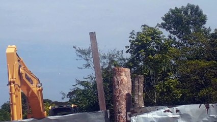 Airbus A321 PT-XPQ coming from Brasília to Manaus