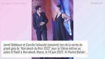 Camille Lellouche enceinte : verra-t-on un jour le visage du papa ? Elle répond enfin !