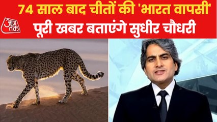 How cheetah became extinct from India 74 years ago?