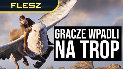 Kiedy zagramy w Hogwarts Legacy. FLESZ - 28 lipca 2022