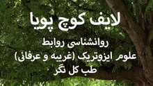 مدیتیشن گروهی شماره ۱ - مدیتیشن پایه