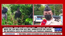 ¡Sin detenidos! Más de 1.6 millones de plantas de coca han erradicado autoridades en Colón