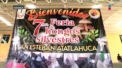 Abuelita es reconocida por su habilidad para jugar basquetbol